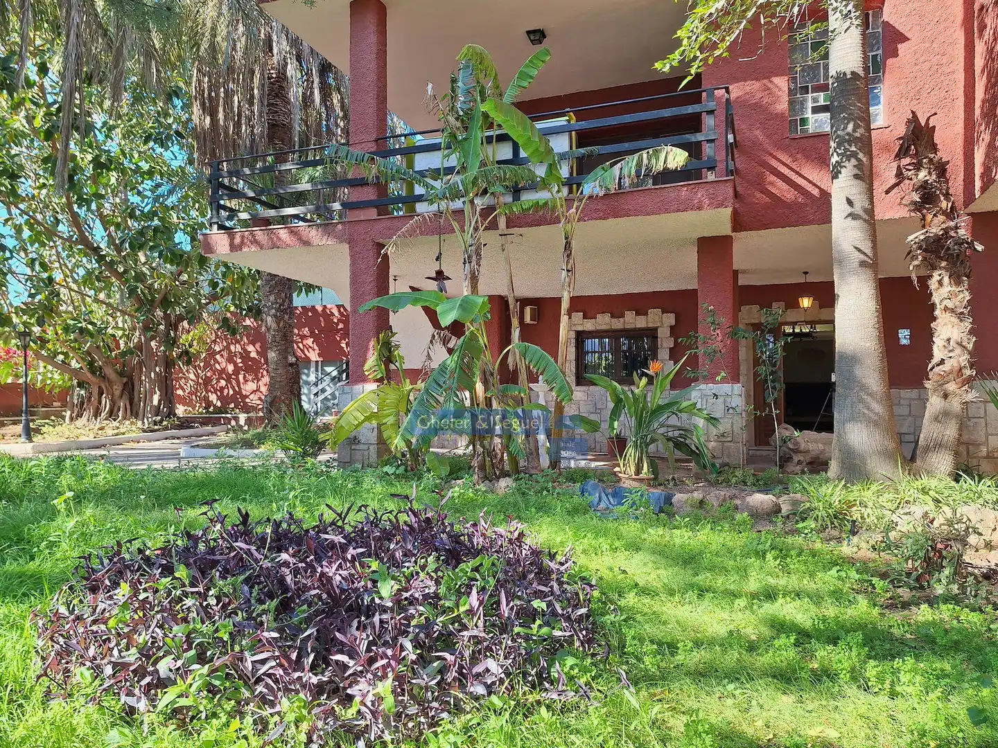 Jardín de Casa o chalet en venta en Albalat dels Tarongers con Terraza