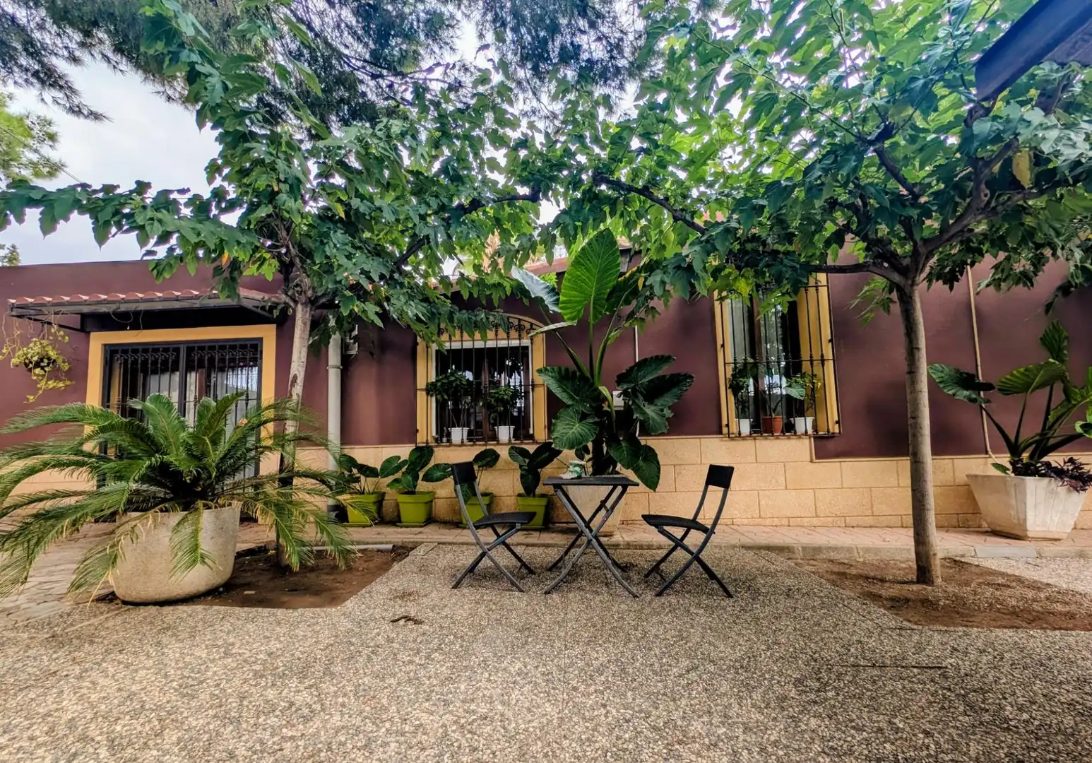 Jardín de Casa o chalet en venta en Totana con Jardín privado, Terraza y Piscina