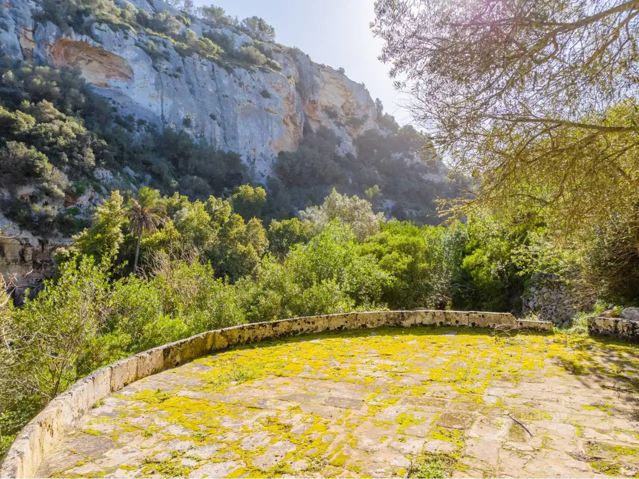 Terreny rústic en venda a Ciutadella, imagen 10