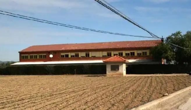 Terreny rústic en venda a Lugar Marchena