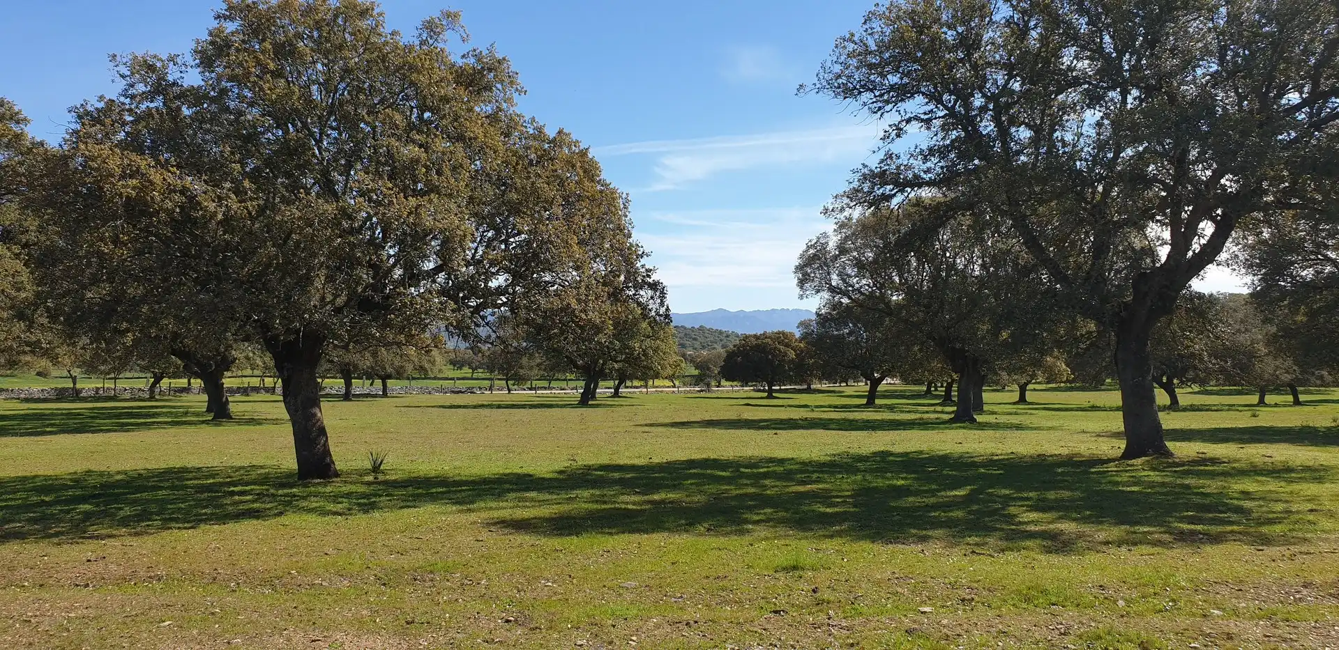 Terreno rustico in vendita a Villanueva de la Serena, imagen 3