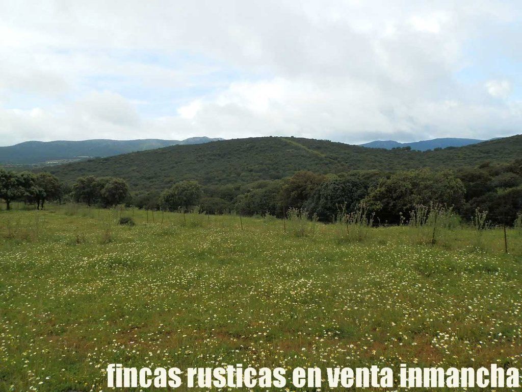 Land for sale in Abenójar
