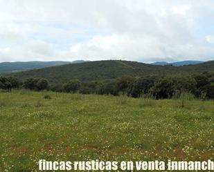 Land for sale in Abenójar