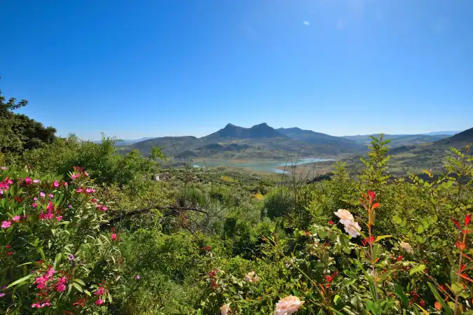 Jardín de Finca rústica en venta en Zahara con Aire acondicionado, Calefacción y Jardín privado