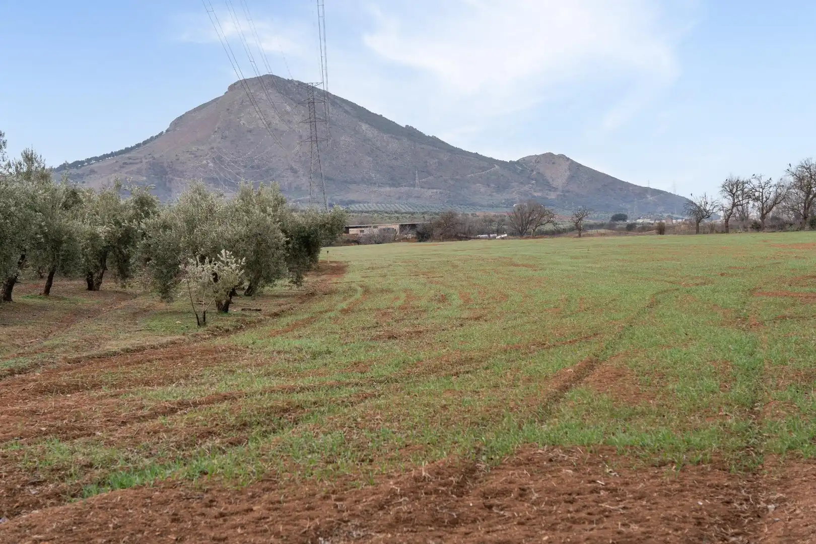 Terrenys i solars en venda a Polígono 23 Parcela 63 LA ZANJA. ALBOLOTE (GRANAD 23, imagen 17