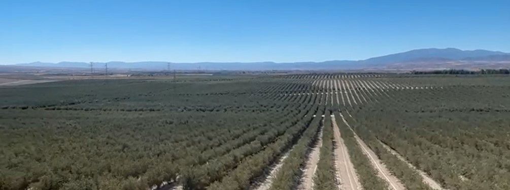 Grundstücke zum verkauf in Alcalá la Real
