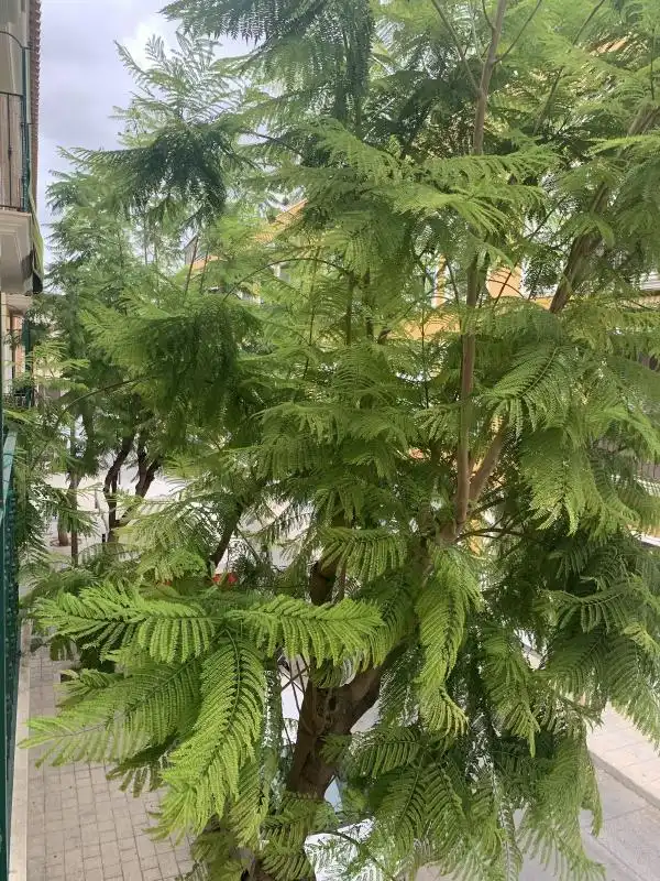 Garden of Flat for sale in Aspe  with Air Conditioner, Heating and Private garden