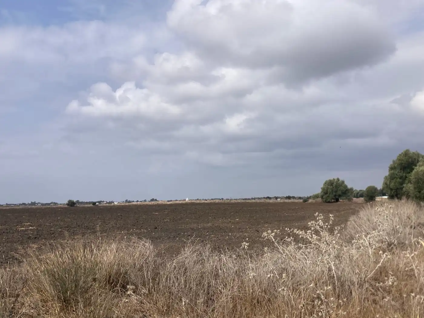 Terreni e lotti in vendita a El Palmar