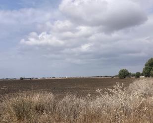 Land for sale in Vejer de la Frontera