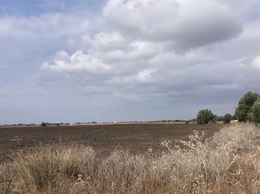 Rural land for sale in El Palmar