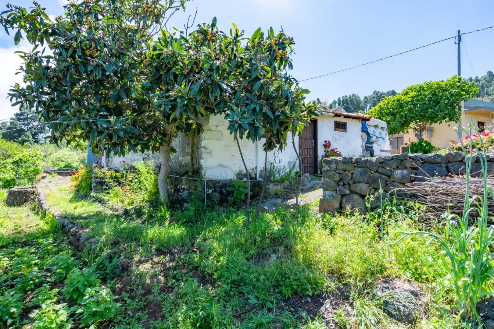 Casa rústica en venta en Icod de los Vinos pueblo, imagen 17