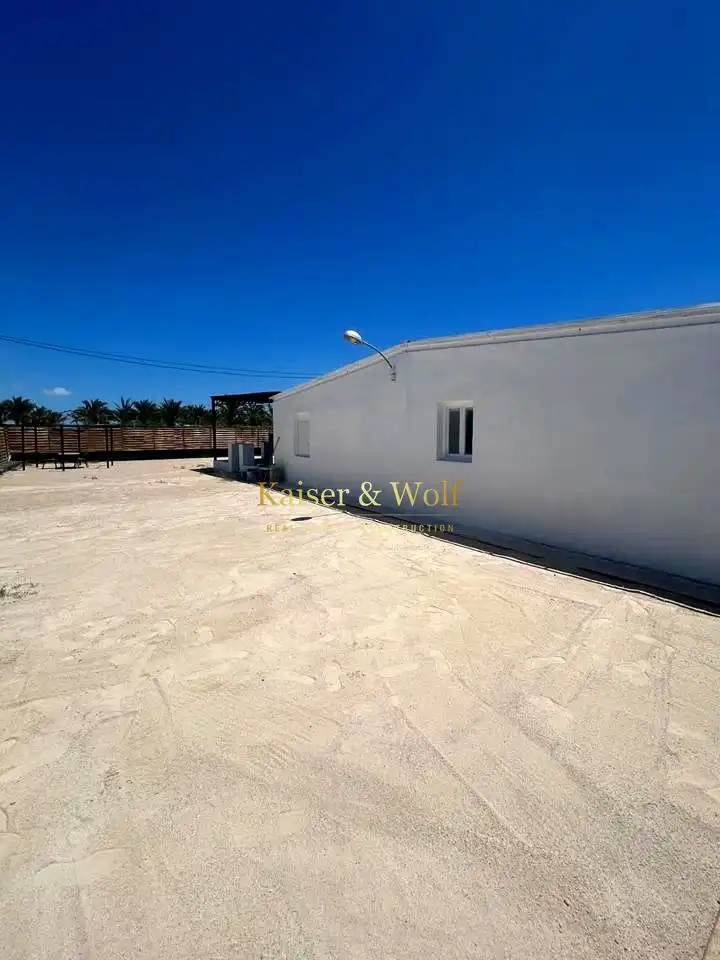 Vista exterior de Finca rústica en venta en Elche / Elx con Jardín privado