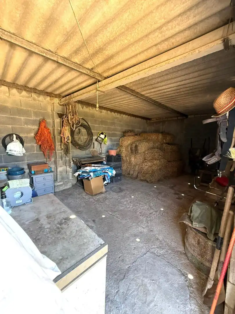 Terreni e lotti in vendita a Almadén de la Plata, imagen 16