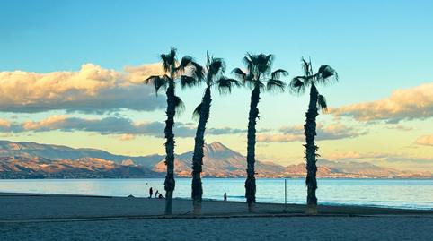 Photo 3 of Apartment to rent in Avenida Benidorm, Playa de San Juan, Alicante