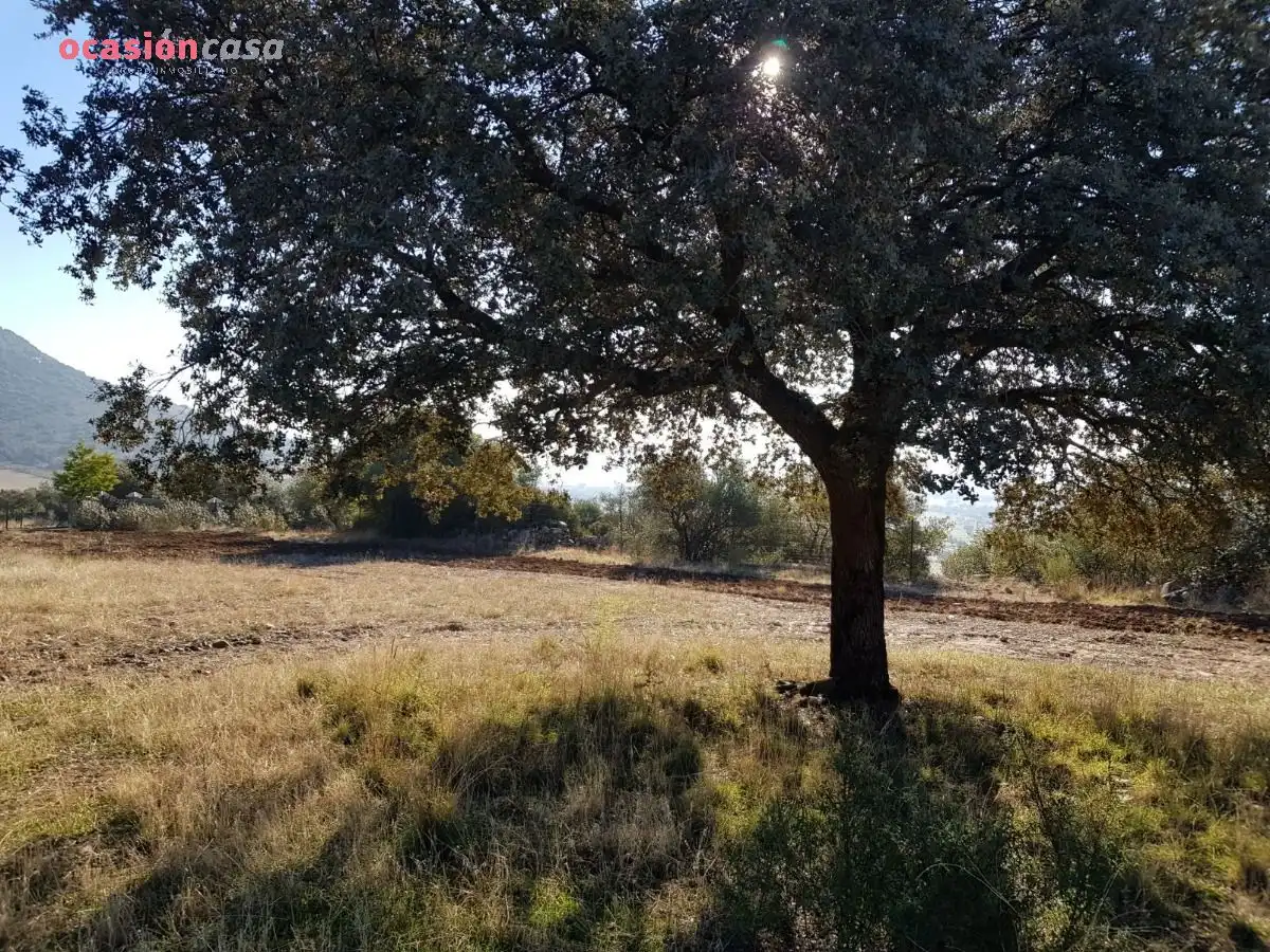 Casa o chalet en venta en Santa Eufemia