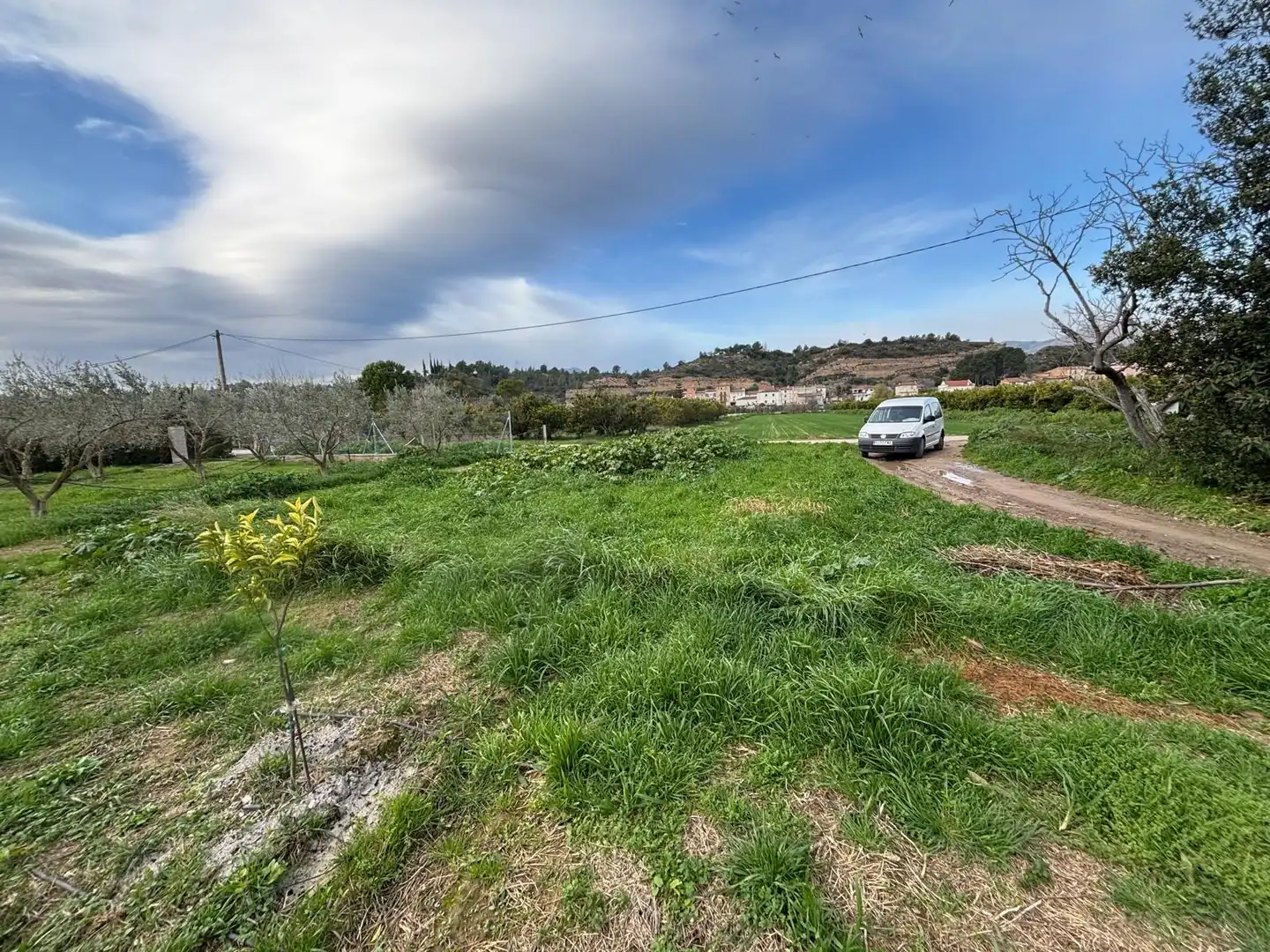Terrain rustique à vendre à Aldover, imagen 7