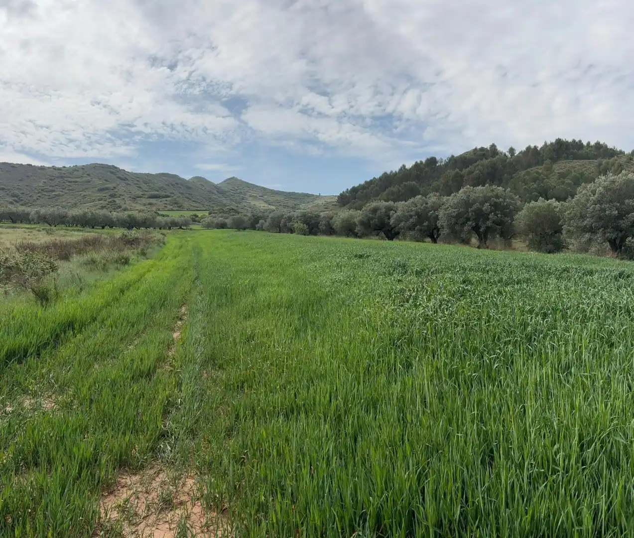 Terreno rústico en venta en Lardero, imagen 7
