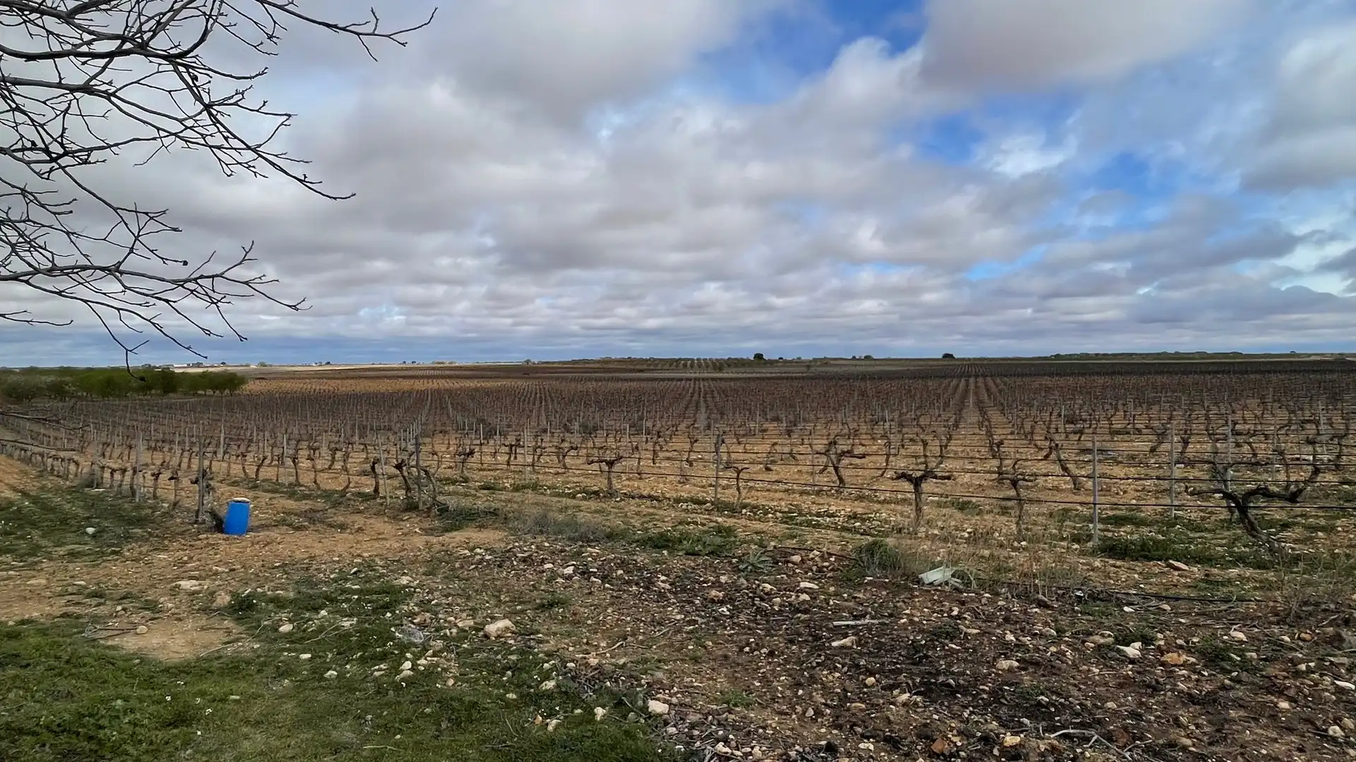 Terreny rústic en venda a Tarazona de la Mancha, imagen 9