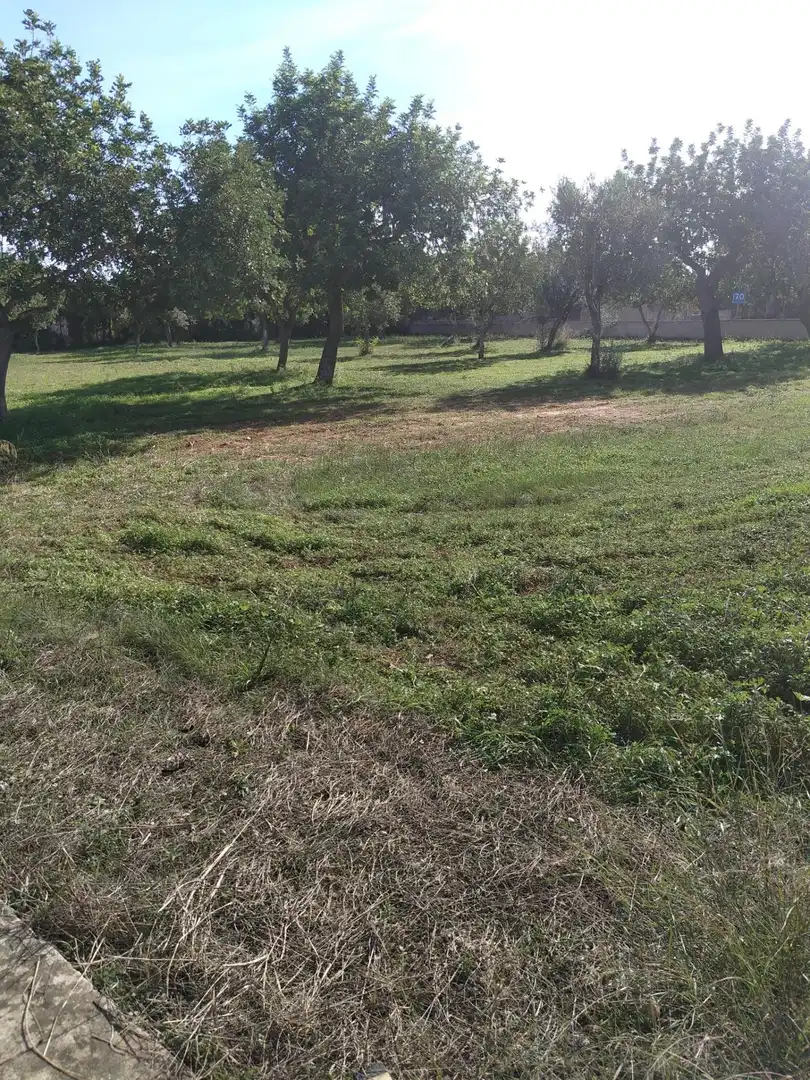 Terreny rústic en venda a Santa María del Camí, imagen 12