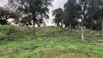 Residential for sale in Capmany