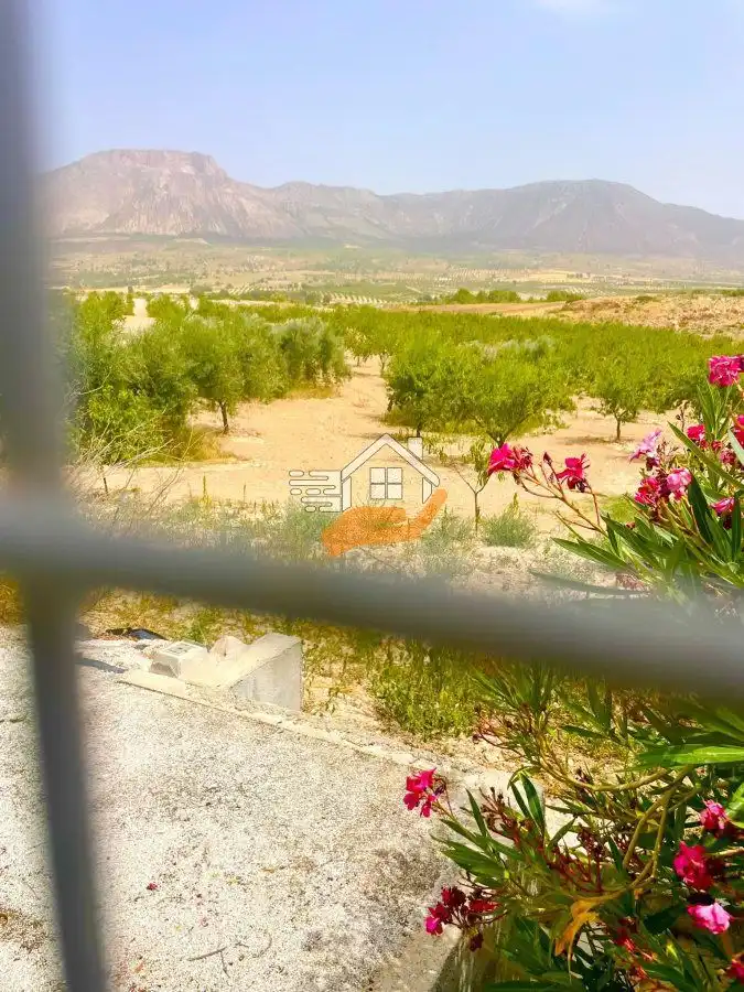 Finca rústica en venda en Vélez-Blanco amb Balcó