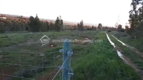 Terreni e lotti in vendita a Valdesalor - Rincón de Ballesteros, imagen 4