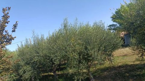 Foto 5 de Finca rústica en venda a Les Borges Blanques, Lleida