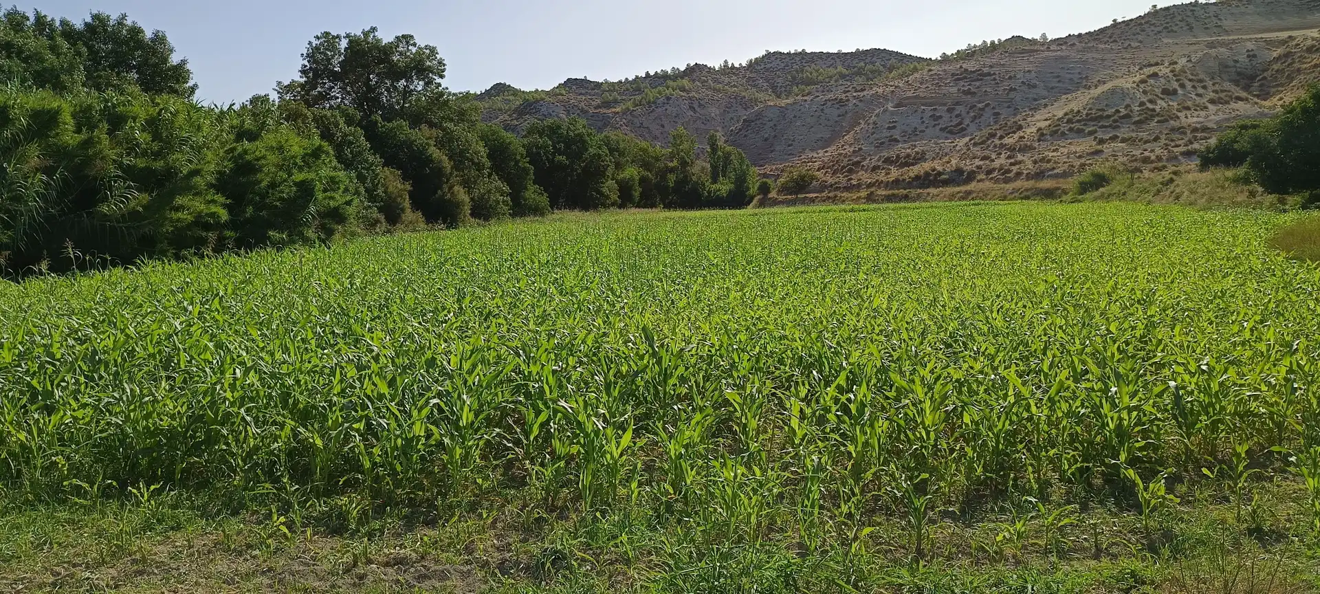 Country house for sale in Polígono B BAJO, imagen 18