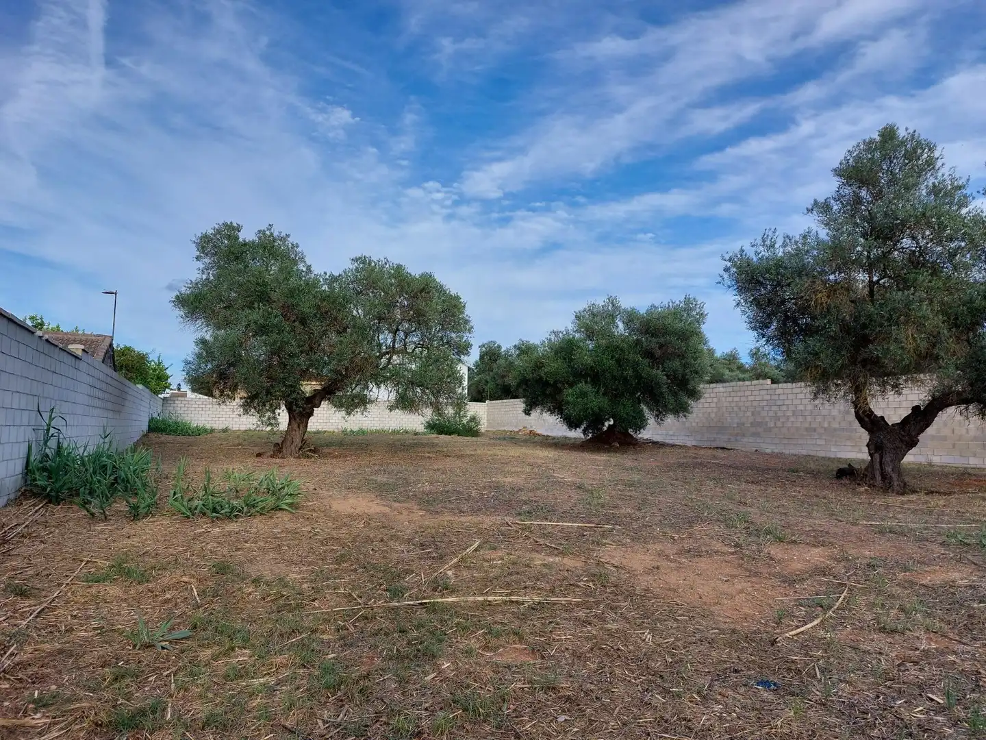 Residential land for sale in Urbanizacion del Casquero 43, imagen 4