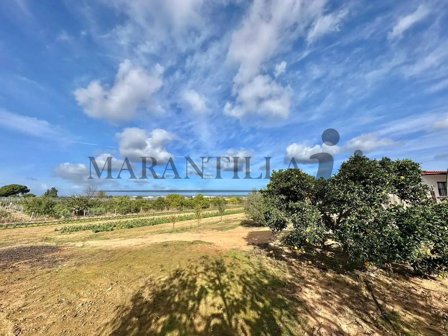 Finca rústica en venta en Lepe con Terraza, Trastero y Amueblado