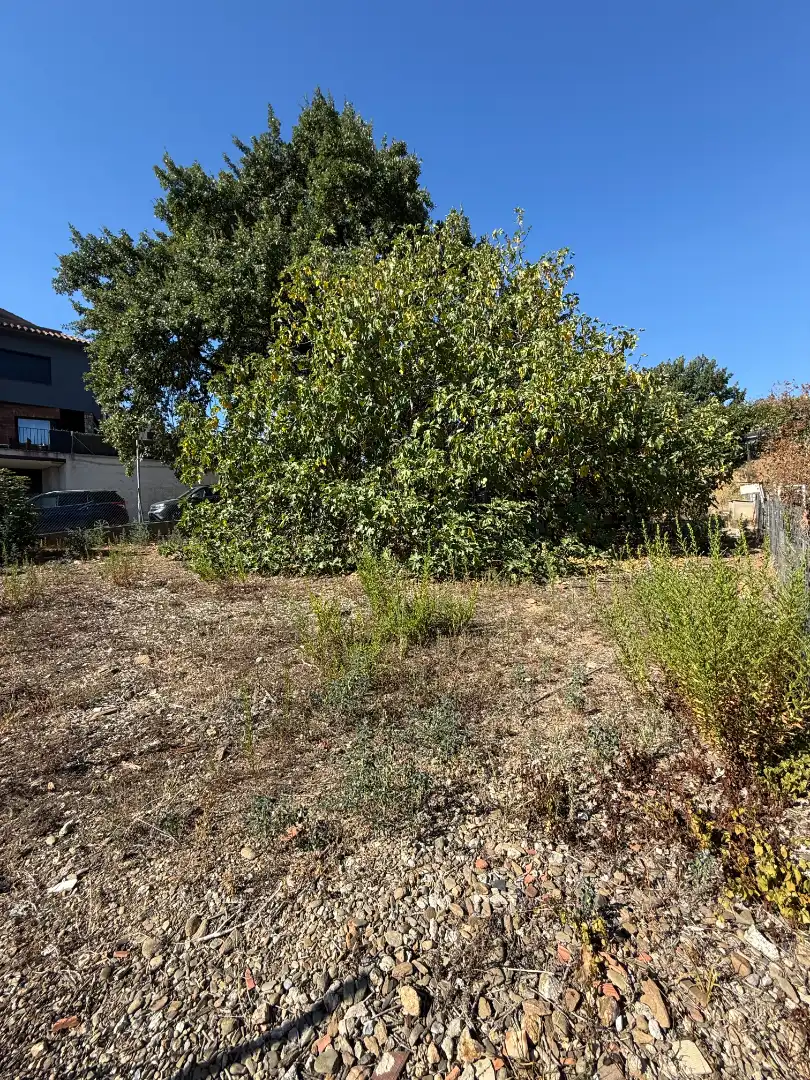 Terreno residenziale in vendita a Carrer Consell de Cent 27, imagen 7