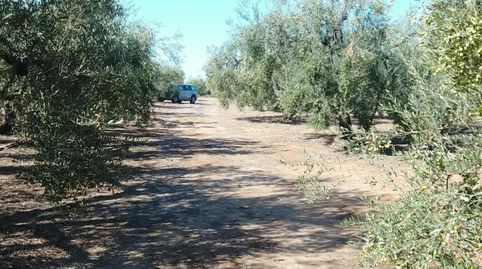 Immagine 2 dell'annuncio