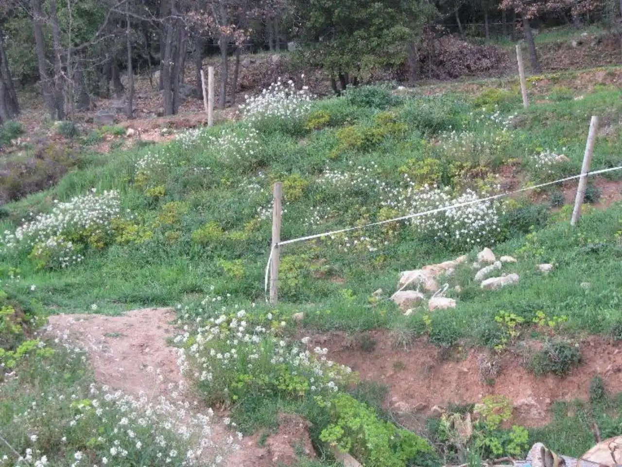 Terreno residenziale in vendita a La Nou de Berguedà, imagen 4