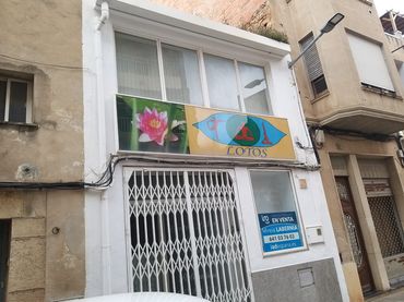 Wohngebäude zum Verkauf in Ulldecona