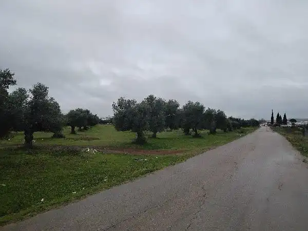 Rustikales Grundstück zum Verkauf in Puerto Serrano, imagen 8