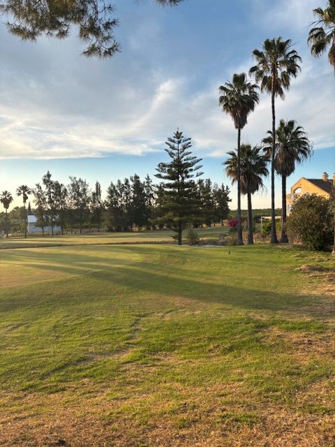 Vista exterior de Residencial en venda en Aznalcázar