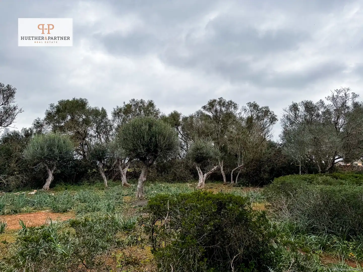 Residential land for sale in Felanitx Poble, imagen 8