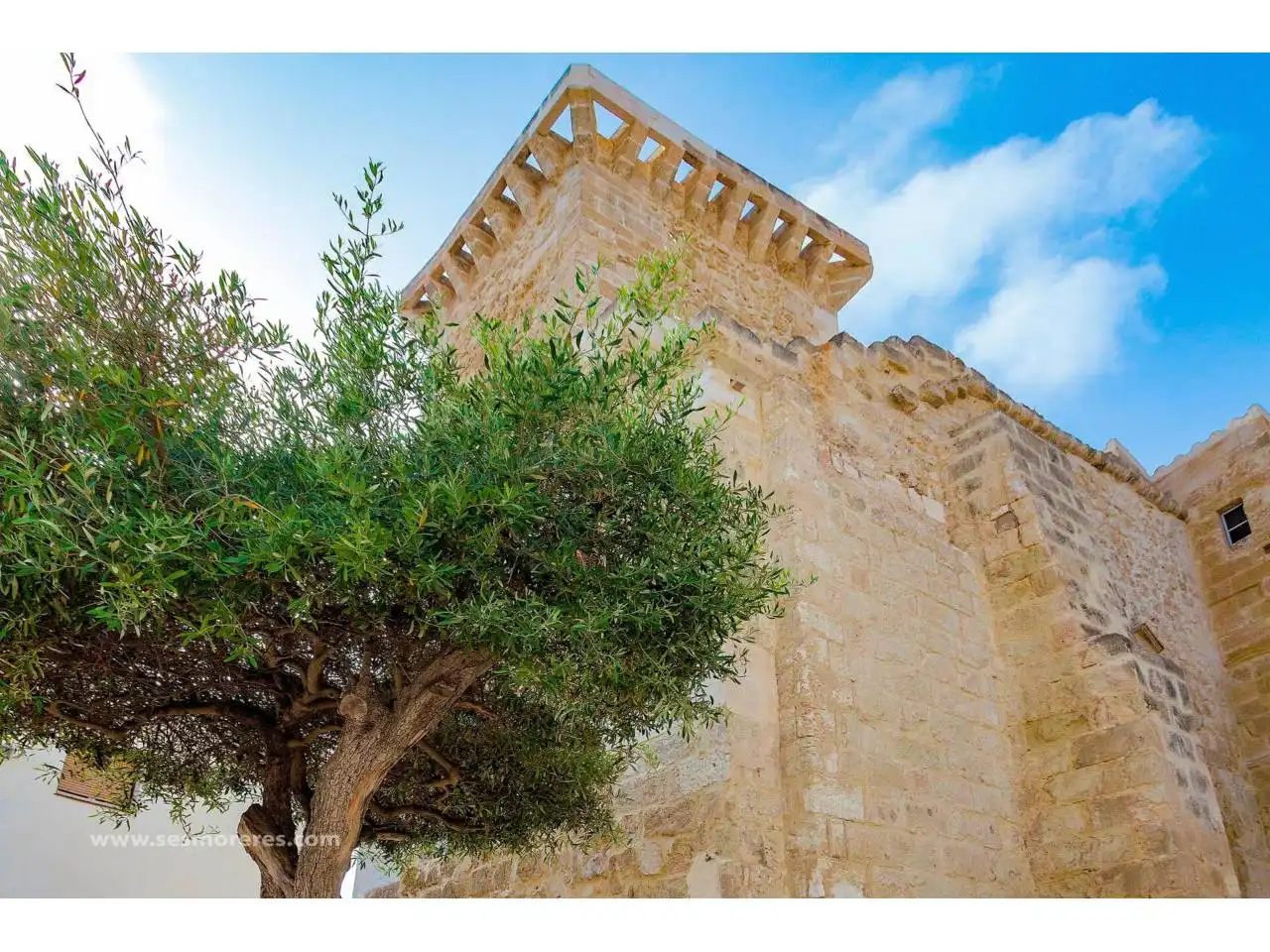 Vista exterior de Casa o chalet en venta en Maó - Mahón con Jardín privado y Terraza