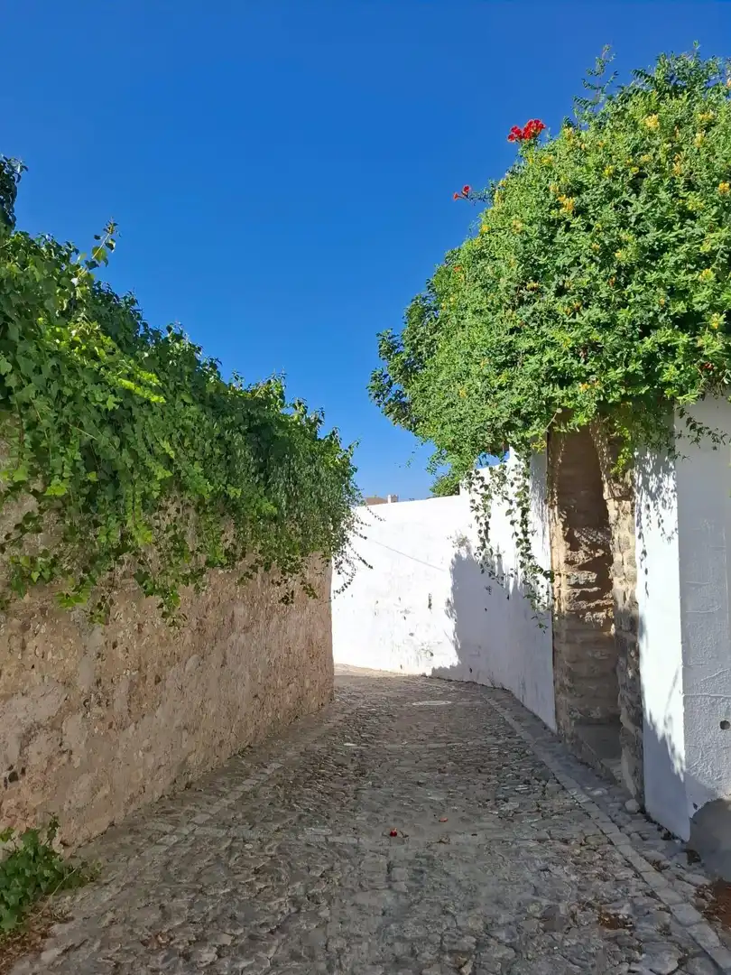 Terrenys i solars en venda a Medina Sidonia, imagen 18