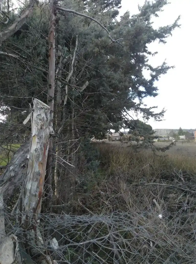 Grundstücke zum Verkauf in Calvarrasa de Abajo