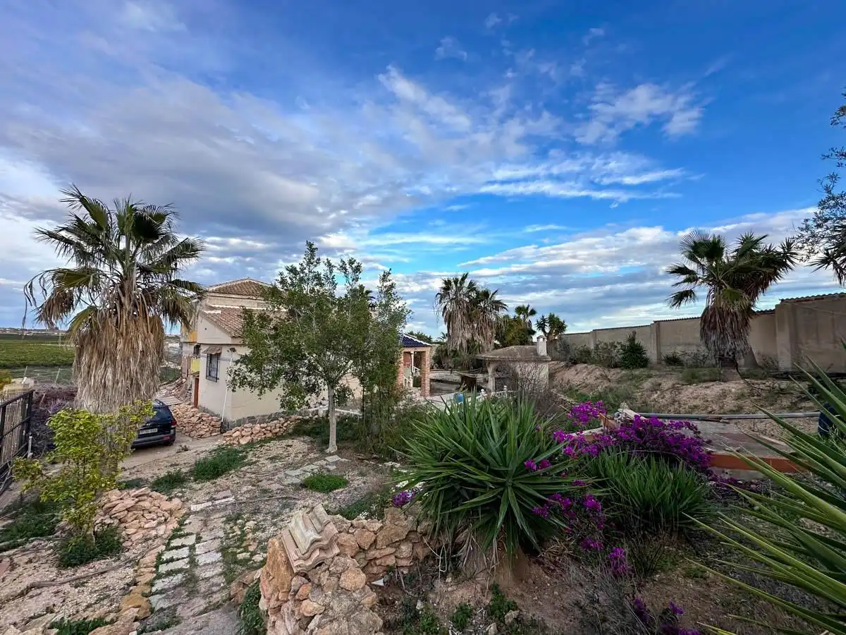 Vista exterior de Finca rústica en venta en Los Montesinos con Jardín privado, Piscina y Amueblado