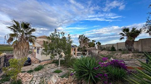 Foto 4 de Finca rústica en venta en Pino el, Los Montesinos, Alicante