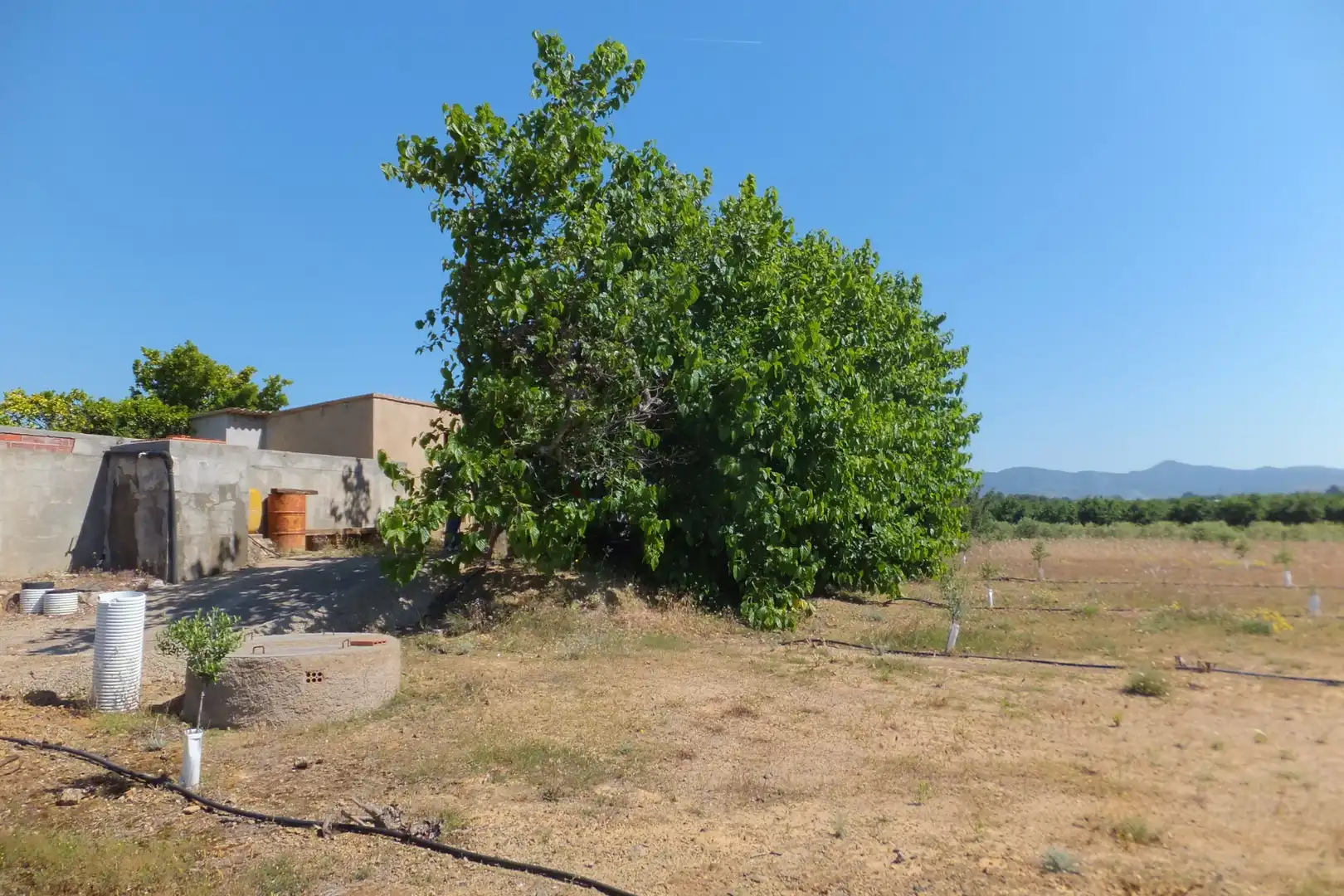 Terreno rústico en venta en Botarell, imagen 11