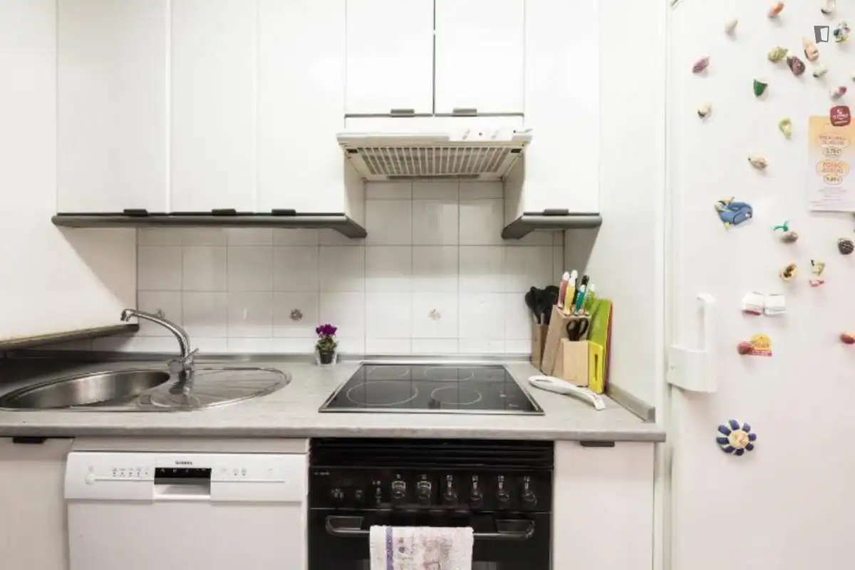 Kitchen of Apartments for rent in Madrid  with Air Conditioner, Heating and Furnished