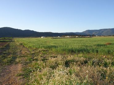 Terreno rustico in vendita a Yecla