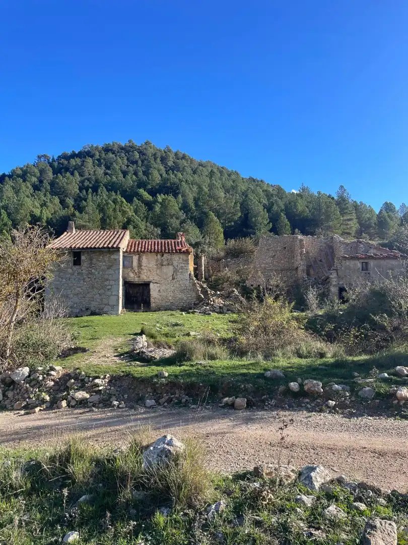 Terreny rústic en venda a La Pobla de Benifassà
