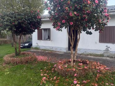 Casa en venta en Friol