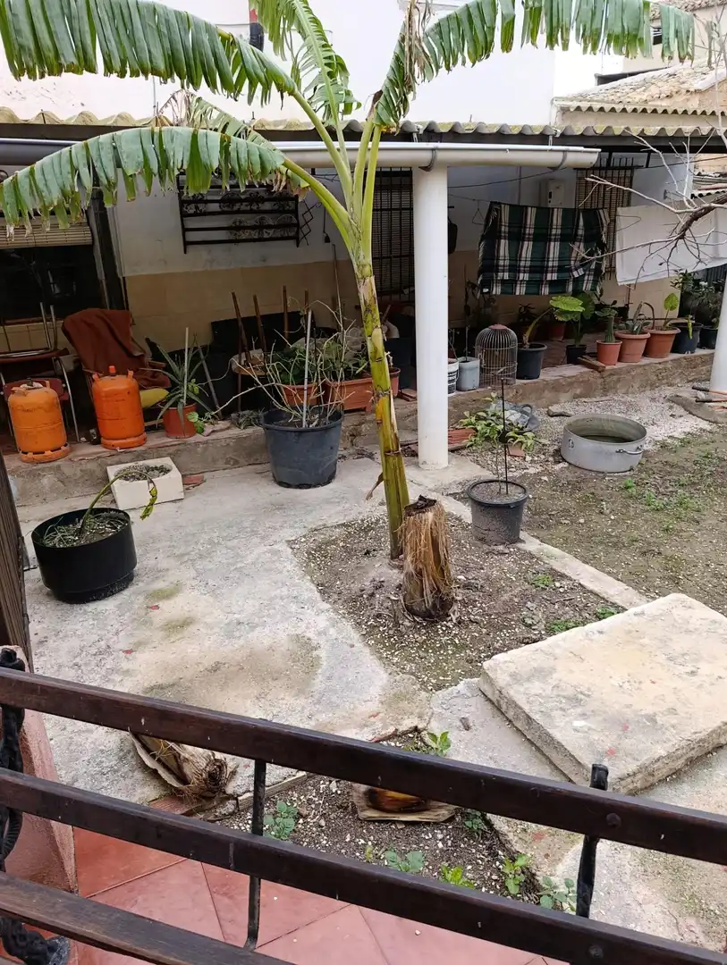 Garden of Country homes for sale in Mula  with Furnished