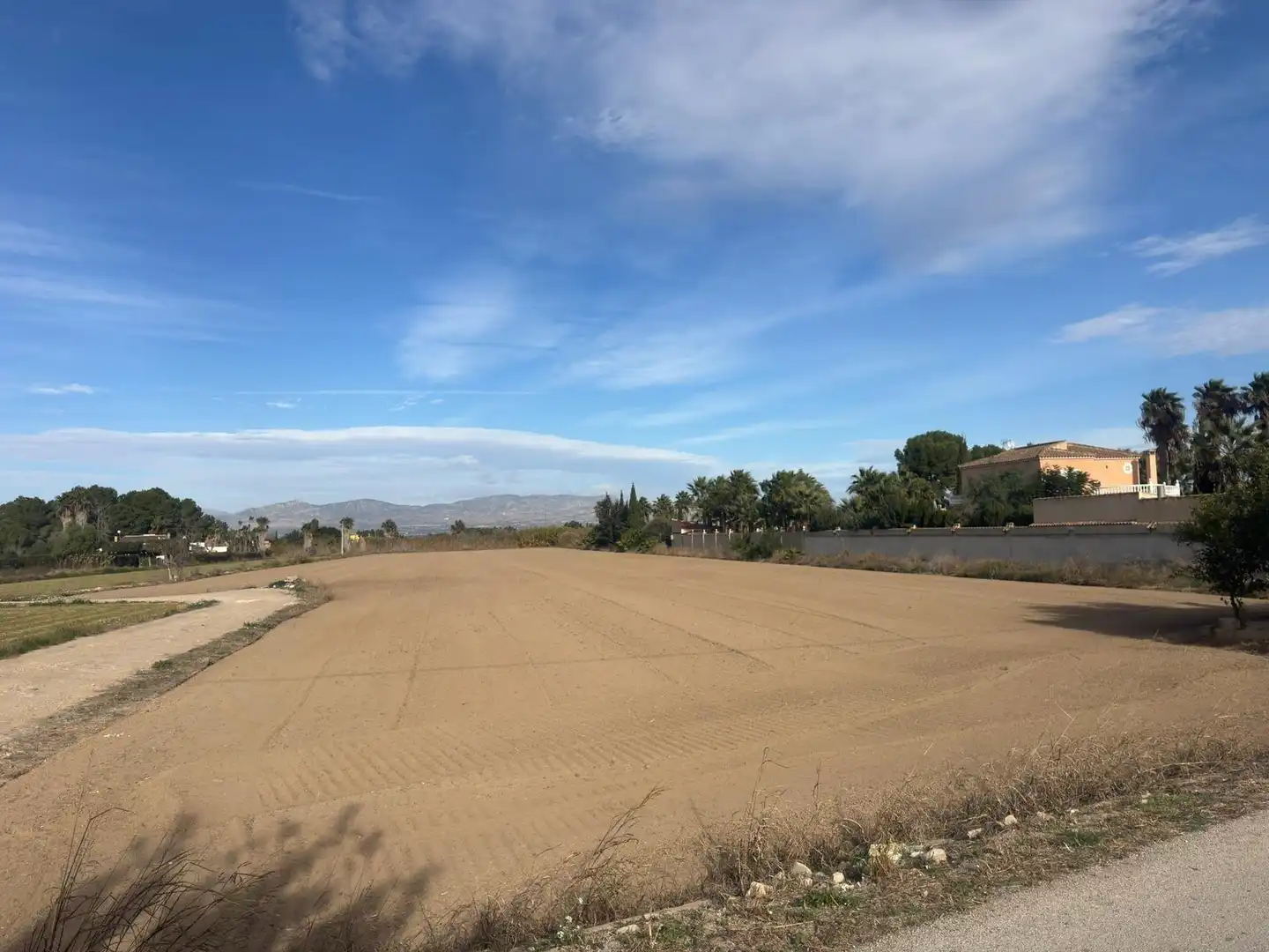 Rural land for sale in Catral, imagen 4