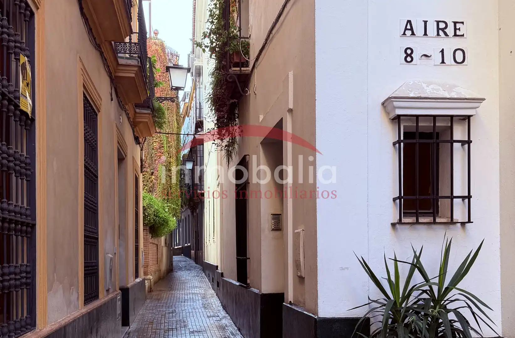 Exterior view of Houses for sale in Sevilla